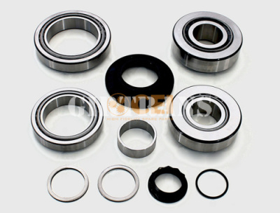 Ремкомплект дифференциала (подшипники) 5490/MB CEI 298882