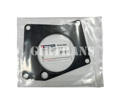 Прокладка компрессора между компрессором и двигателем 5490, MB A4571310180 MARSHALL M7017006