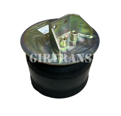 Пневморессора 5490 Ростар 651-2934002-48      